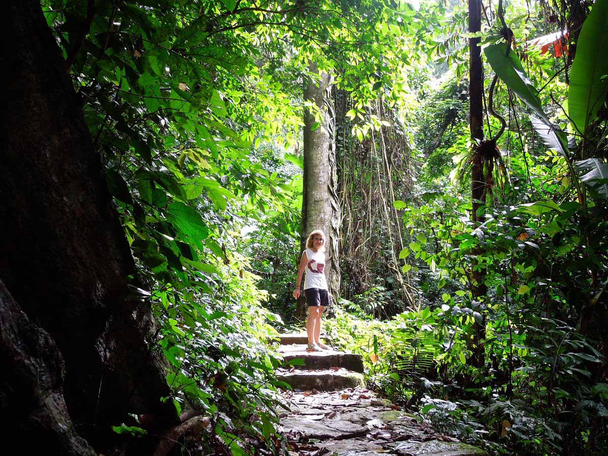 Hiking Trails Near Hanoi - cuc phuong national park